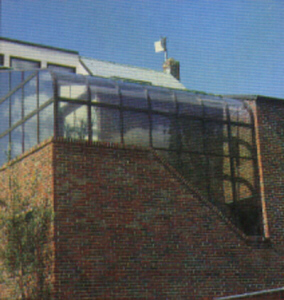 picture 40