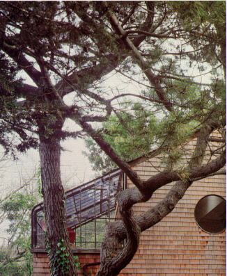 picture 45